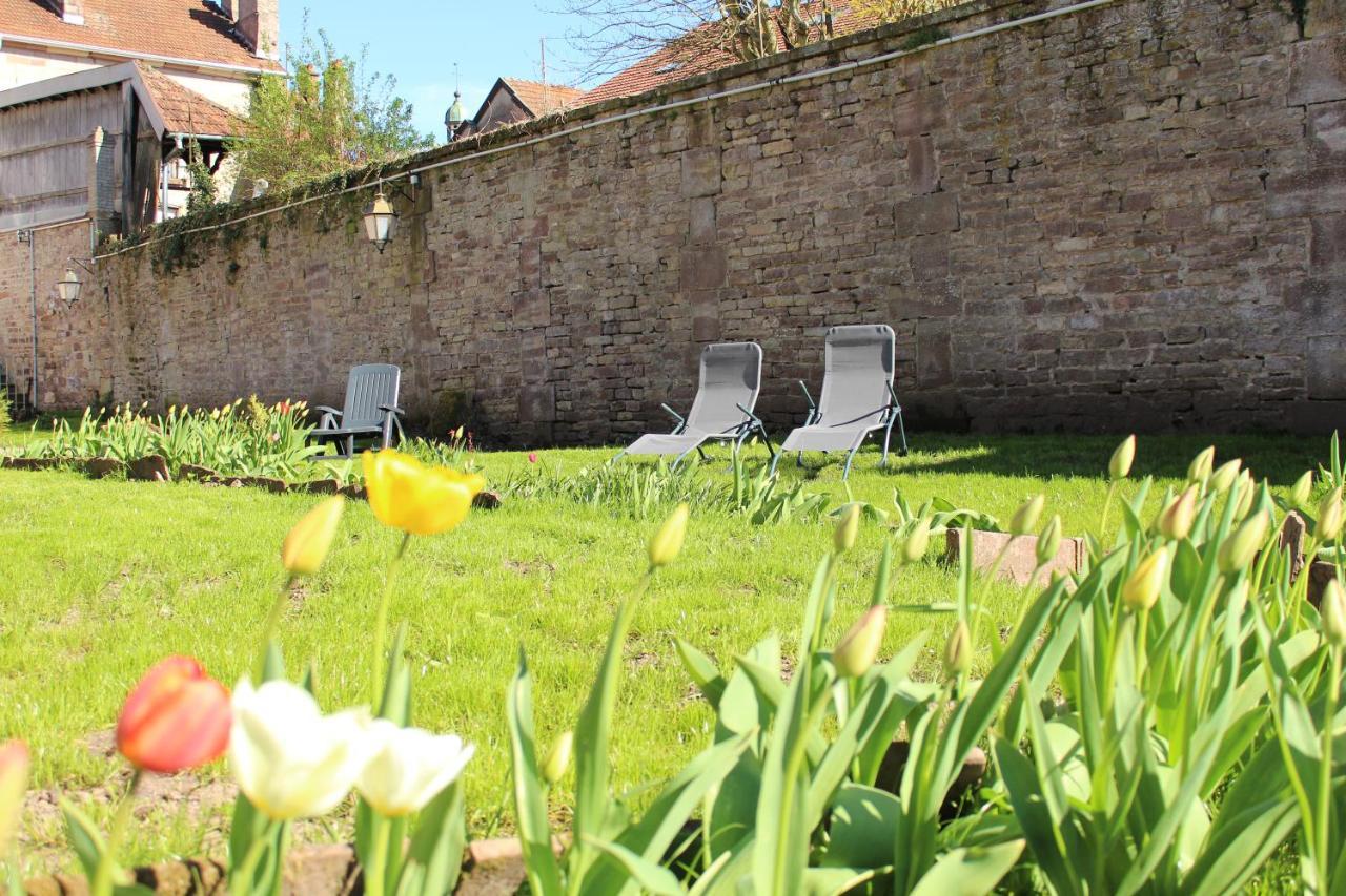 Hotel Le Napoleon Luxeuil-les-Bains Zewnętrze zdjęcie