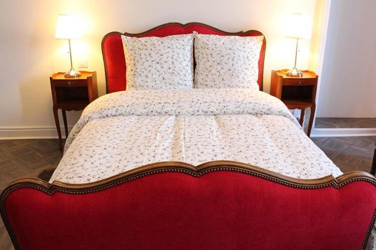 Hotel Le Napoleon Luxeuil-les-Bains Zewnętrze zdjęcie